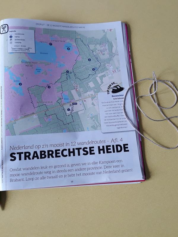 Alles is rekenen