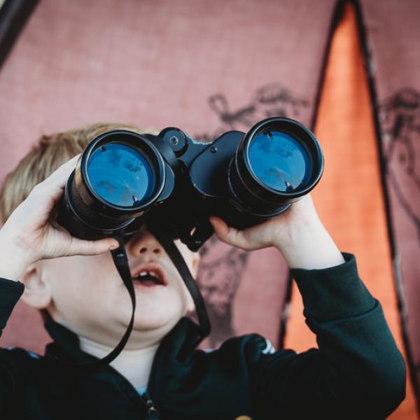 Het drama van de druiven 