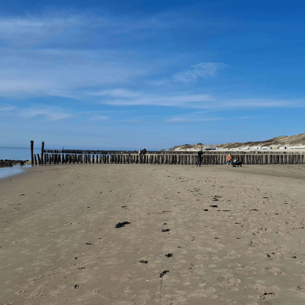 Inspiratiesnack: zeeën van tijd... of toch niet?