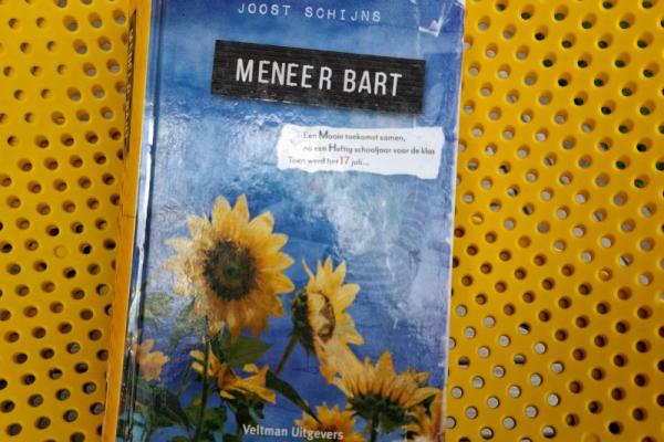 Literatuur lezen 