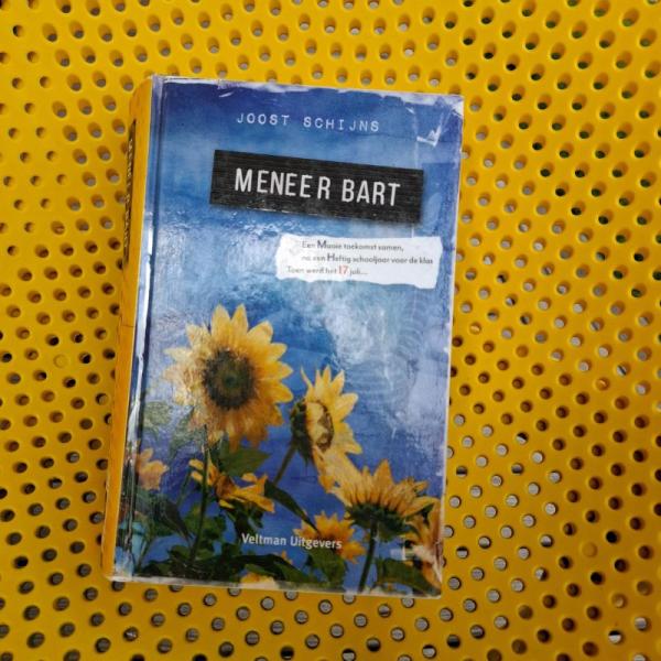 Literatuur lezen 