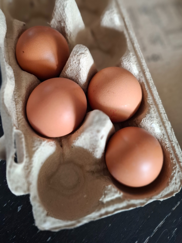 Rijke rekenvragen aan de ontbijttafel